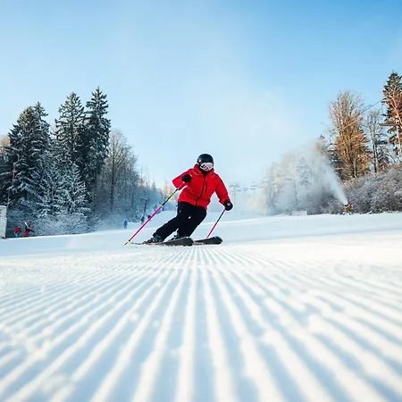 Monínec - Depandance Nová Javorka 3*