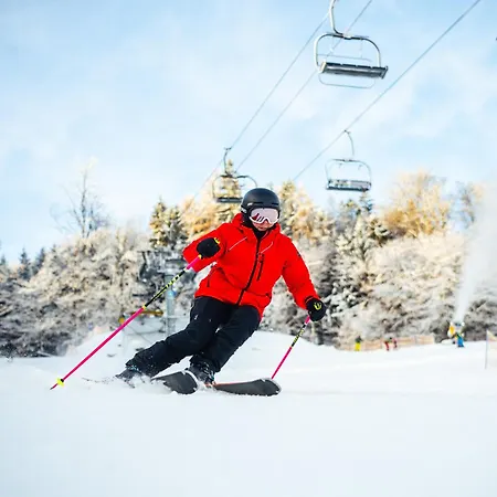 - Depandance Nova Javorka Hotel 3*