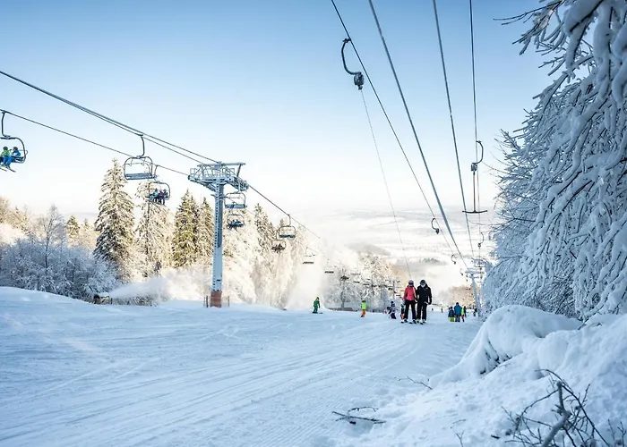 - Depandance Nova Javorka Hotel 3*