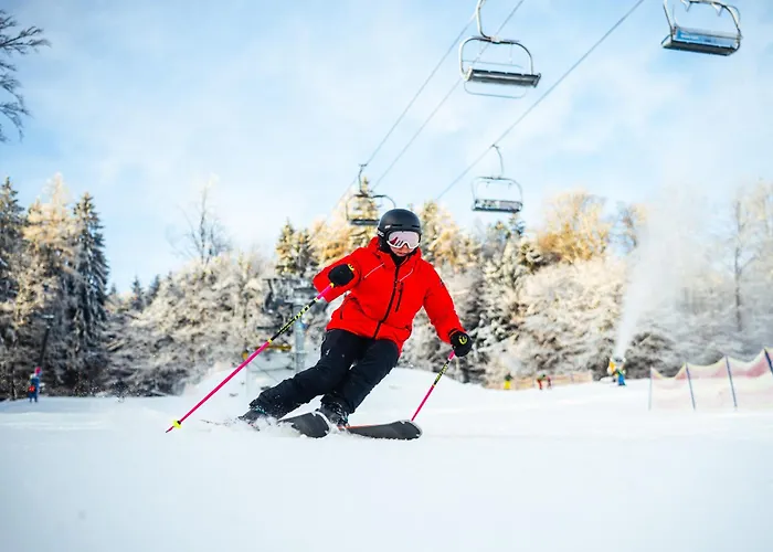 - Depandance Nova Javorka Hotel 3*